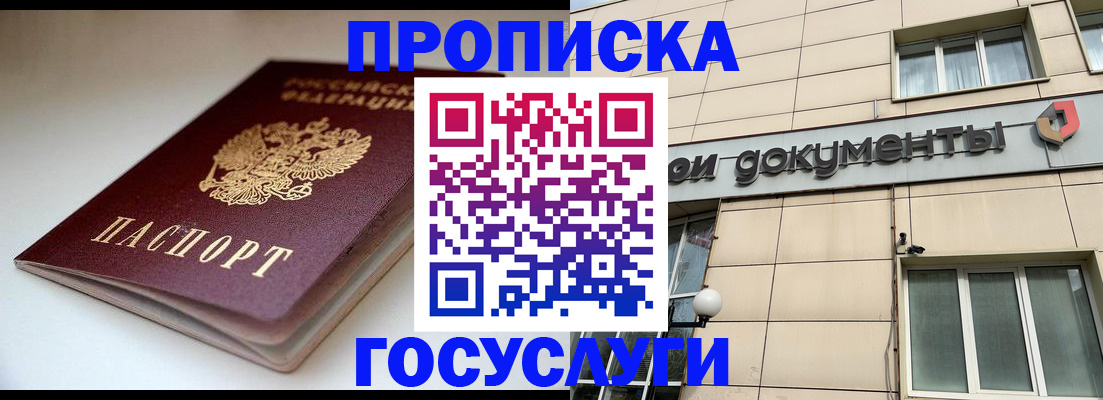 временная регистрация госуслуги в Ельне